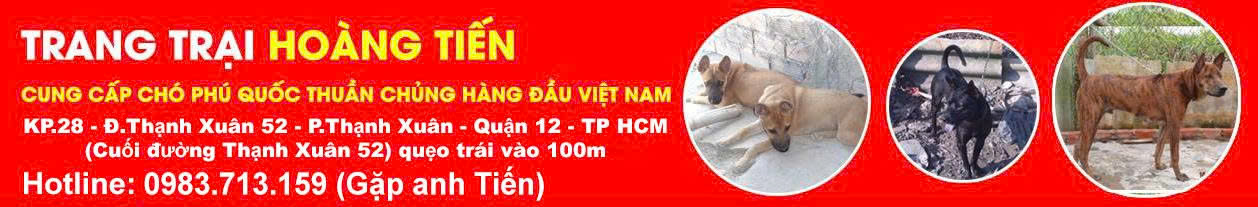 Trang Trại Hoàng Tiến